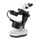 Microscopio Euromex NexiusZoom GEM para Gemología (Configurable)